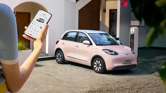 2024 Wuling Bingo 410km Lingxi Premium Edition Electric Vehicle for Adult New