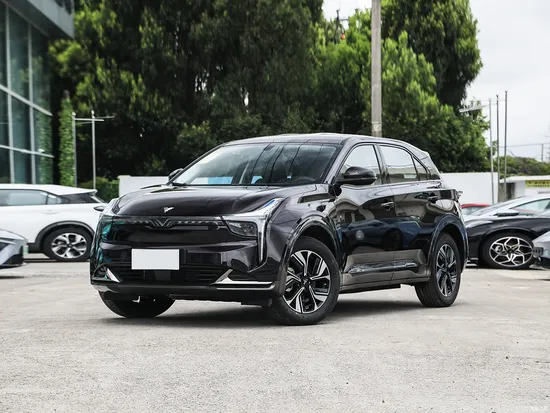 Hot Sales Neta U 2WD SUV, New Energy Vehicle, Used Car6