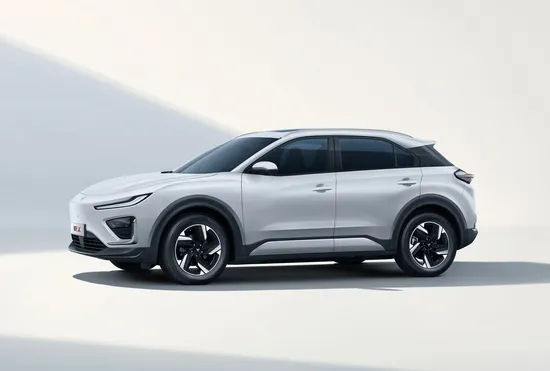 2025 Neta X Pure Electric 501km Long Range 5