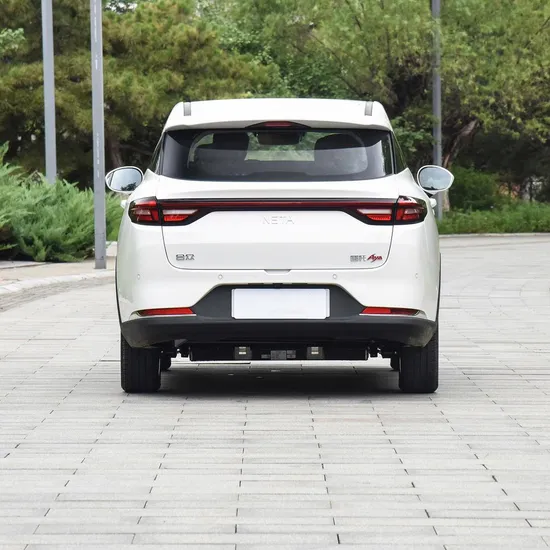 Cheap Cars Neta Aya 401 Lite Edition Small SUV Mini Electric Vehicle Pure Electric New