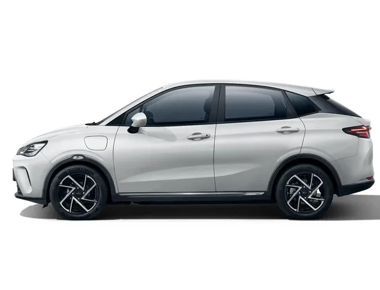 Neta Aya Electric Car New Energy Vehicles 401km Lite Version 2024 Model Cheap 