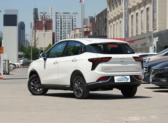 Factory Direct Sales Hozon Neta V Charging Car with Top Quality 