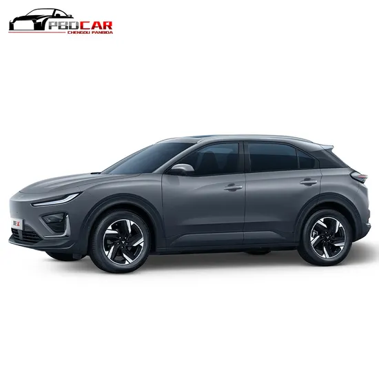 2024 2025 Hot Sale New Energy Neta X SUV 100% Pure Used Electric Cars 