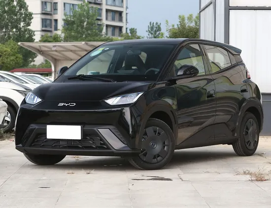 Byd Seagull 2025 305km Modern Auto New Energy Electric Vehicle Mini EV Car 