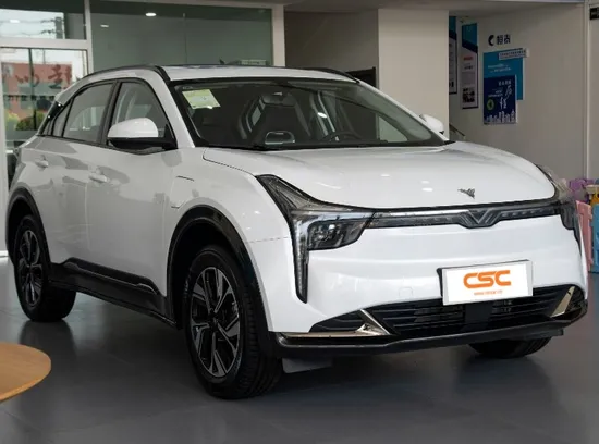 Electric Car Fast Delivery High Speed Motor Neta U EV Compact SUV 