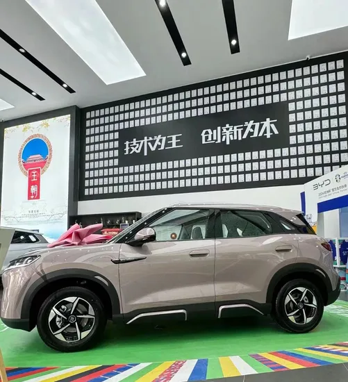 Byd Yuan up 2024 401km Mini SUV Bev Used Electric 