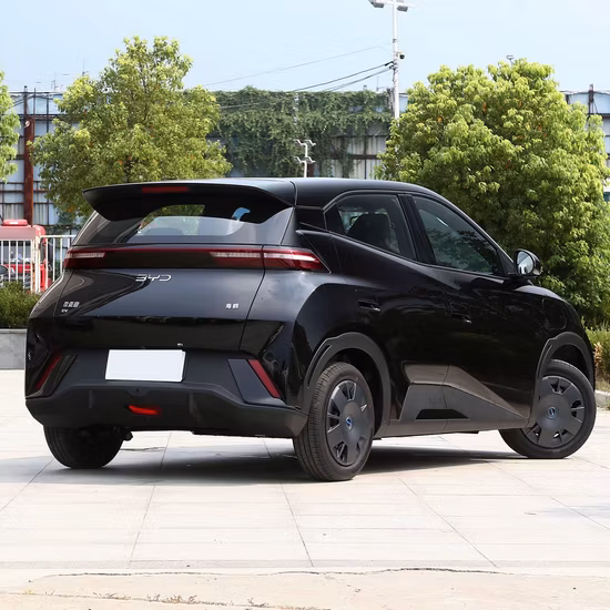 Good Price China Mountain Electric Vehicle New Cars Mini Car Byd EV